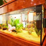 Atlanta Budget Darmstadt