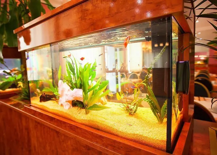 Atlanta Budget Darmstadt